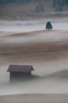 Foggy morning