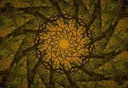 Kaleidoscoop van een eikenboom van René van der Horst thumbnail