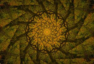 Kaleidoskop einer Eiche