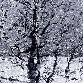 Snow fantasy by Yanuschka | Fotografie Noordwijk