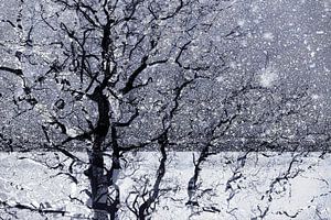 Fantaisie sur la neige