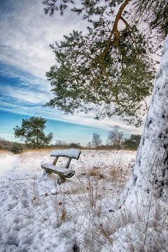 Sitzbank im Schnee von Egon Zitter