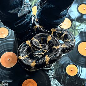The Serpent of the Vinyl Ritual by Vythryd Arts