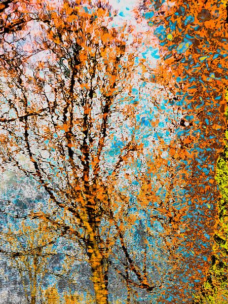 van Gogh reflection by George Brady