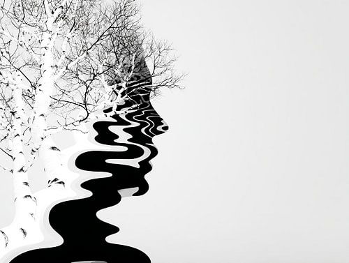 River of Birch Shadows