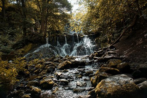 Small waterfall in the forest with moss on stones