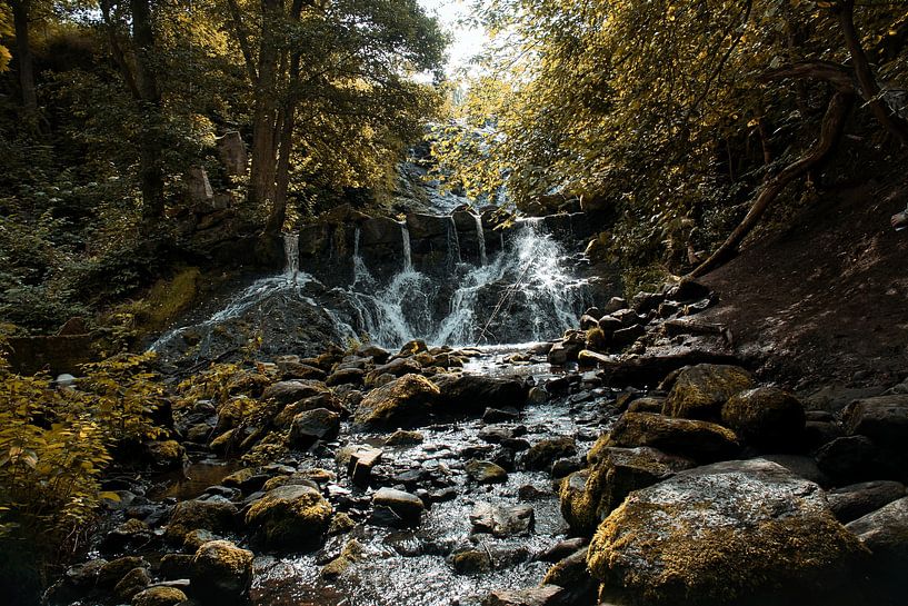 Kleine waterval in het bos met mos op stenen van Martin Köbsch