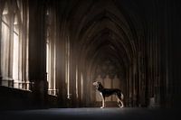 Sacred light