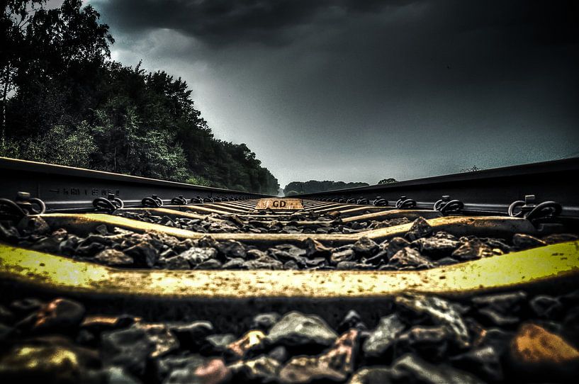 On the Track von Michiel ter Elst