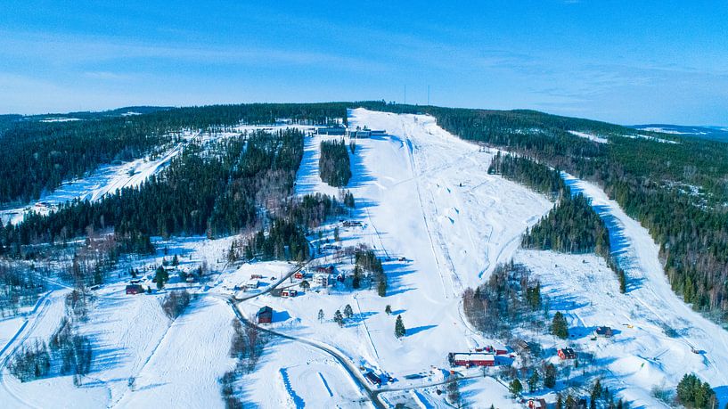 Hallsta-Ski von Fields Sweden