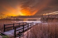 Opkomende zon (sunrise) in het Geestmerambacht Langedijk