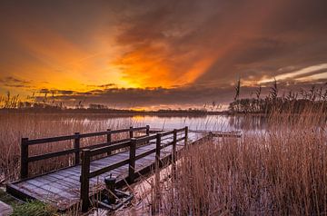 Opkomende zon (sunrise) in het Geestmerambacht Langedijk van René Groeneveld