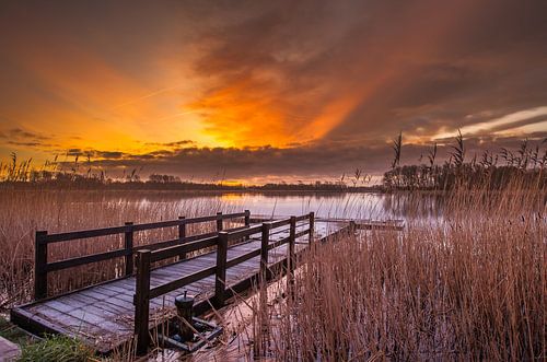 Opkomende zon (sunrise) in het Geestmerambacht Langedijk sur René Groeneveld