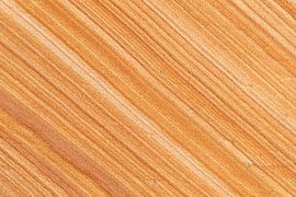 Morsum Kliff von Sven-Erik Arndt