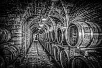 Wine cellar in black and white