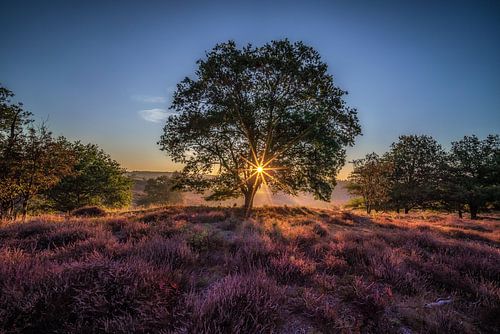 Sunrise on the Posbank