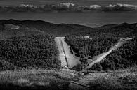 Zwart wit Landschap van Pieter de Kramer thumbnail