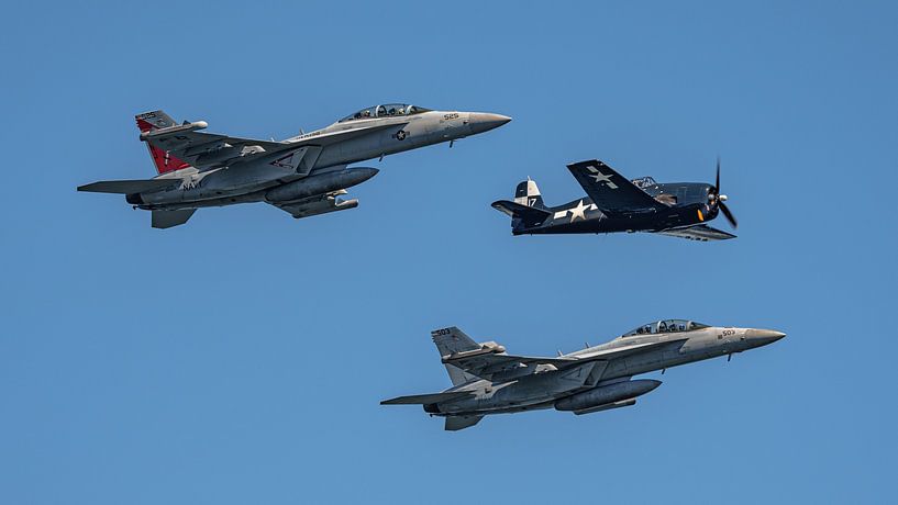 U.S. Navy EA-18G Growler Demo Team mit F6F Hellcat. von Jaap van den Berg