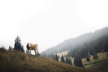 Alpenkoe | Zwitsersland van Laura Dijkslag