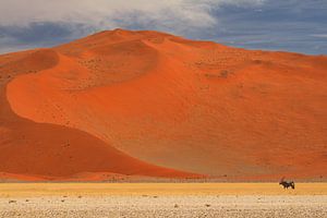 Gemsbok of oryx in de woestijn van Namibië. Zen, rust