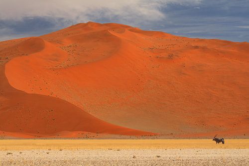 Gemsbok or oryx in the Namibian desert