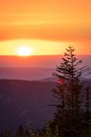 sunset with a tree in the mountains