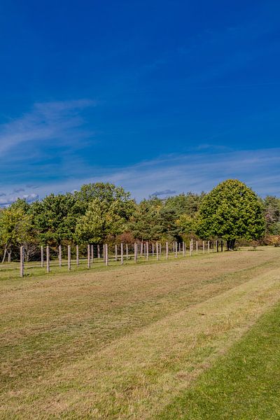 Wandeling bij het Point Alpha Memorial van Oliver Hlavaty