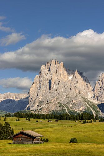 Sassolungo on the Alpe di Siusi by Dirk Rüter