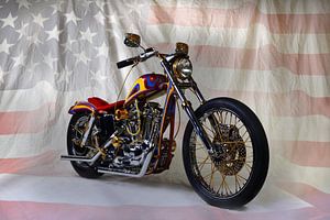 Harley Davidson Chopper Custom 3.0