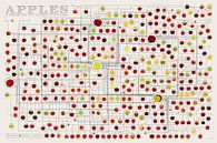 Appels Een stamboom van culinaire cultivars van Steven Kingsbury thumbnail