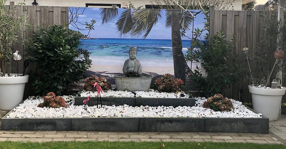 Divi Divi Baum auf Aruba  von Giovanni della Primavera 