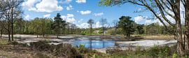 Naturrenaturierung am Brabantse Wal, Ossendrecht von Kristof Leffelaer