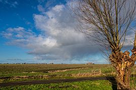 Drente by Brian Morgan