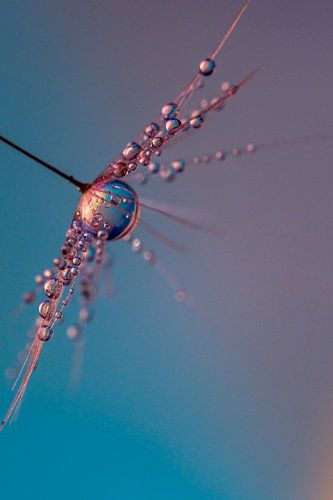 Druppel met blauwe achtergrond.