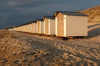 Texel strandhuisjes de Koog
