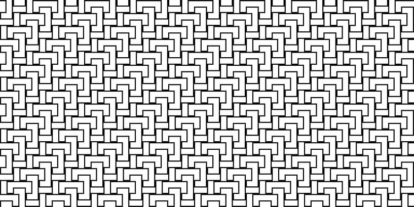 Permutatie | ID=12 | V=12 | 2:1 | 32x16 van Gerhard Haberern