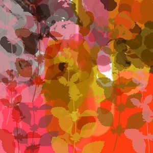 Colorful abstract botanical art. Golden hour in summer by Dina Dankers