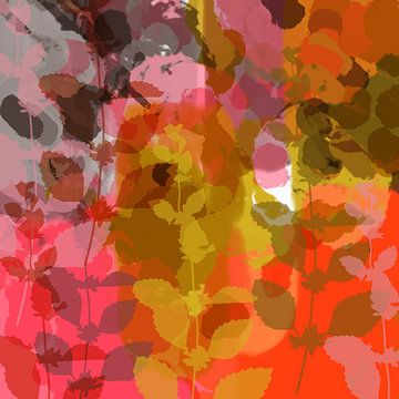 Kleurrijke abstracte botanische kunst. Gouden uur in de zomer van Dina Dankers