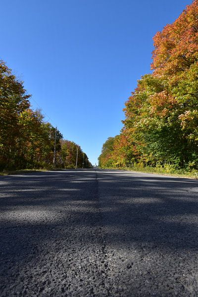 Die Dorfstraße im Herbst von Claude Laprise
