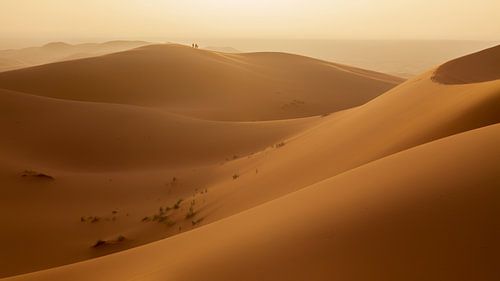 Zonsondergang zandduinen Erg Chebbi