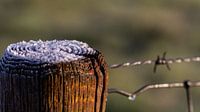 Icy bollard