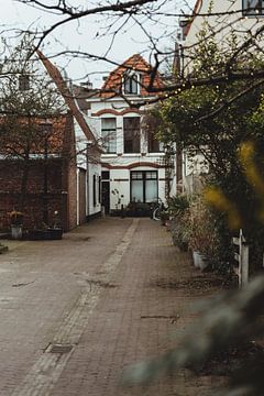 Botanische straat in Haarlem | Fine art foto print | Nederland, Europa van Sanne Dost