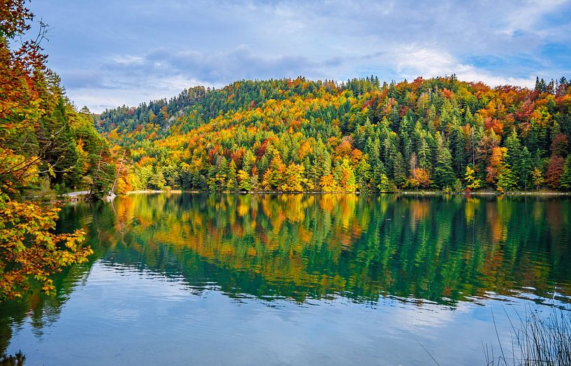 Herfstmeer met bossen van Mustafa Kurnaz