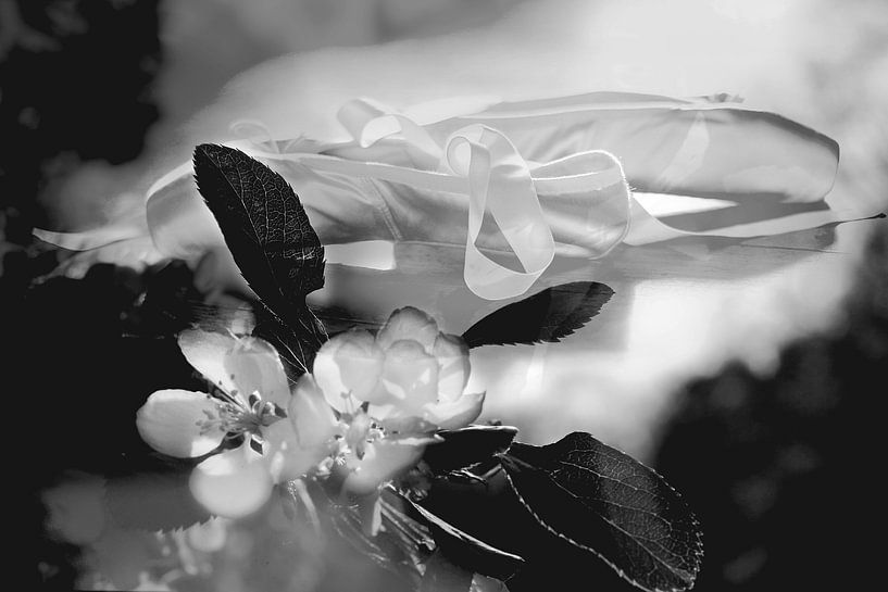 Ballet by Marianna Pobedimova