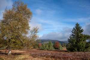 Willingen, Rothaargebirge, Sauerland, Deutschland
