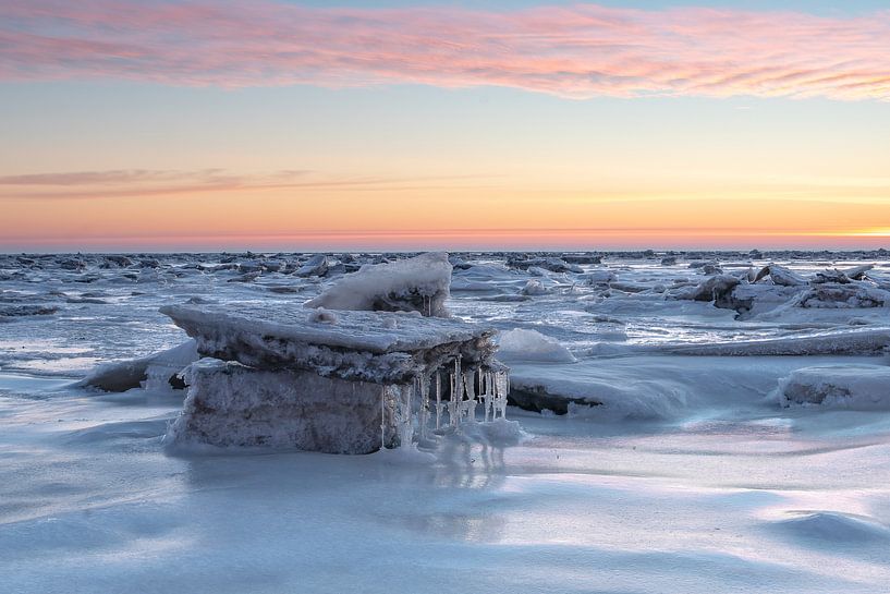 Arctic Vibes van Eddy Reynecke