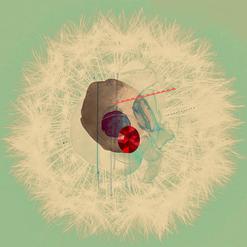 Dandelion of life 9