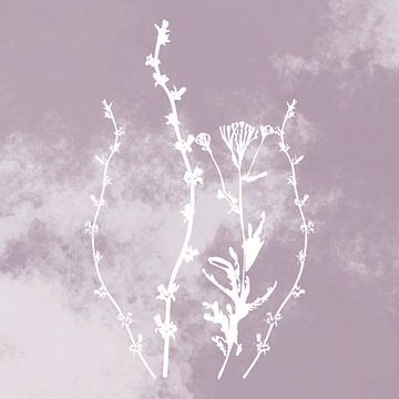 Nuvole di Prato. Abstrait Botanique Minimaliste en Argent Mauve rose rétro sur Dina Dankers