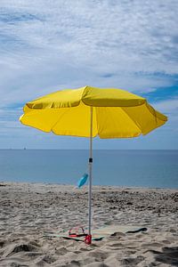 Parasol sur la plage avec bouclier buccal sur Noud de Greef