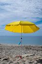 Parasol sur la plage avec bouclier buccal par Noud de Greef Aperçu